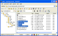 WinSCP Screenshot